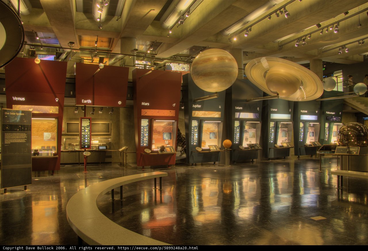 Exploring the Beauty of Museum of Natural History