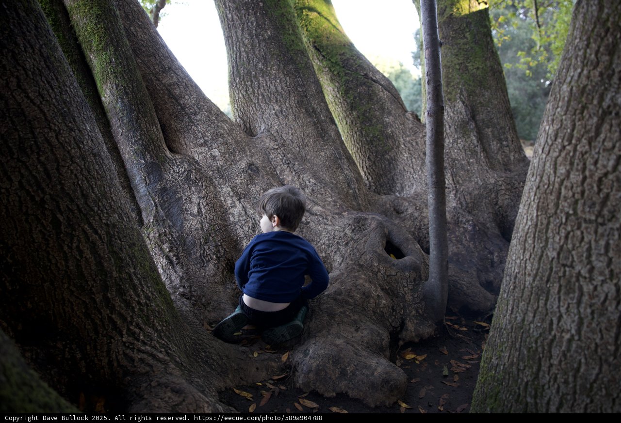 Enchanted Rest