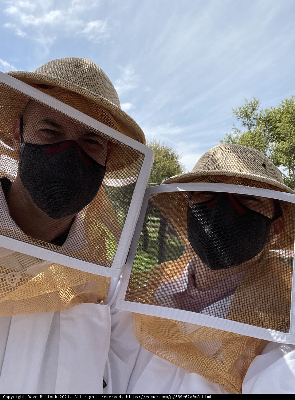 Beekeeping on a Cloudy Day