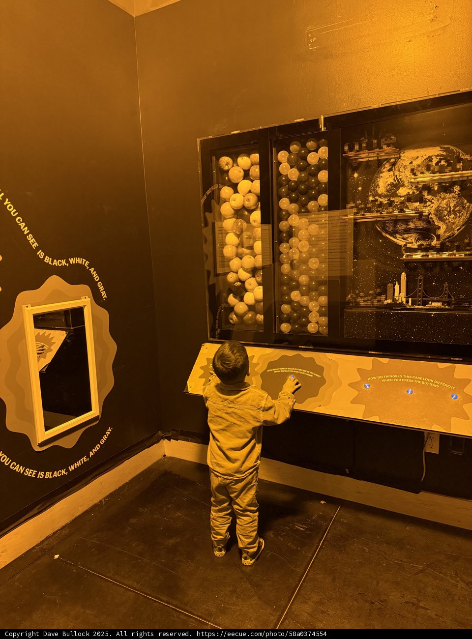 Exploring the Cosmos