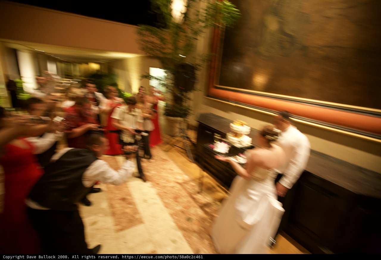 A Dreamy Hawaiian Wedding