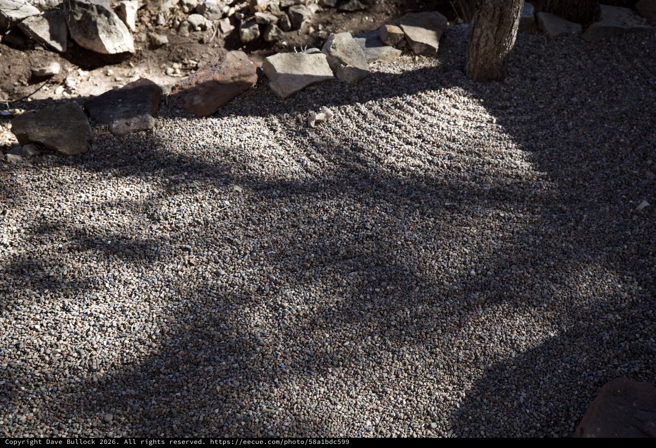 Sunlit Pebble Mosaic with Ancient Stone Ruins