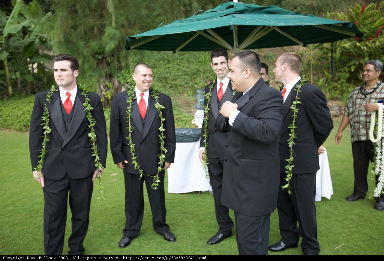 Hawaiian Wedding Bliss