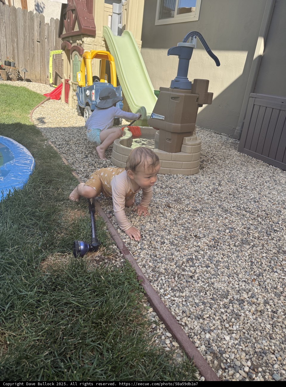 Summer Adventures in the Backyard