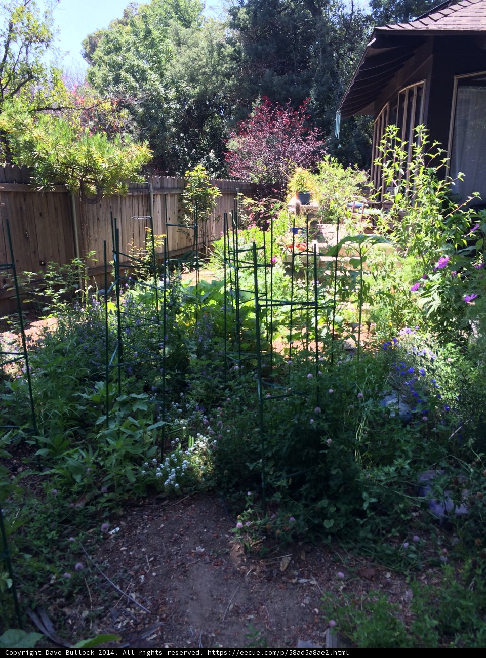 Serene Garden Escape