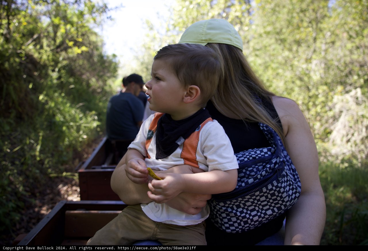 Enchanted Rail Adventures: A Day at Tilden Park