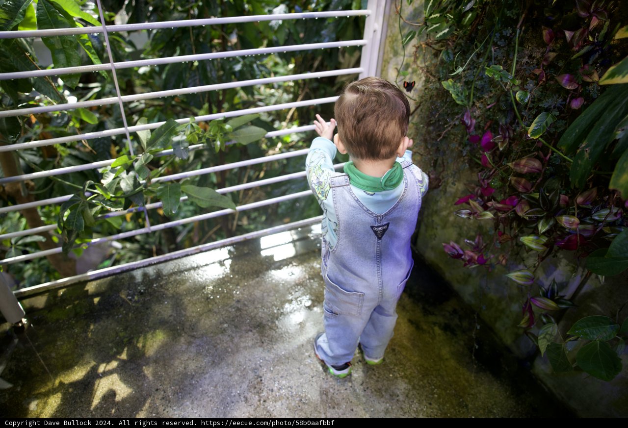 A Young Botanist's Curiosity