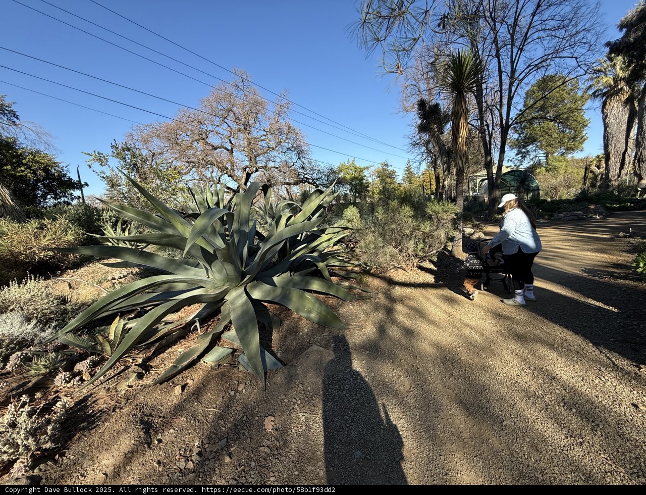 A Stroll Through Nature's Wonderland