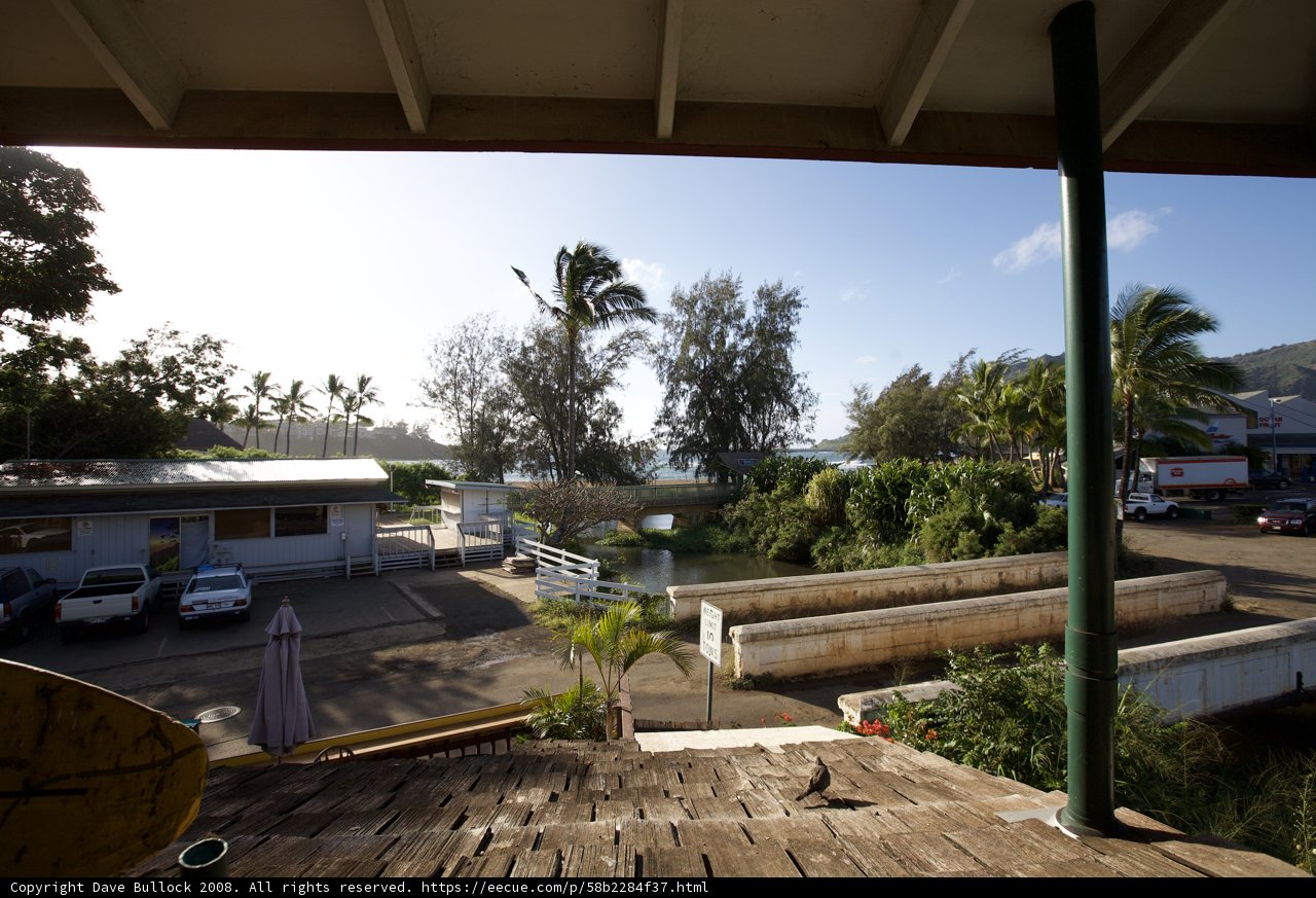 A View from Above: Parking Lot Oasis