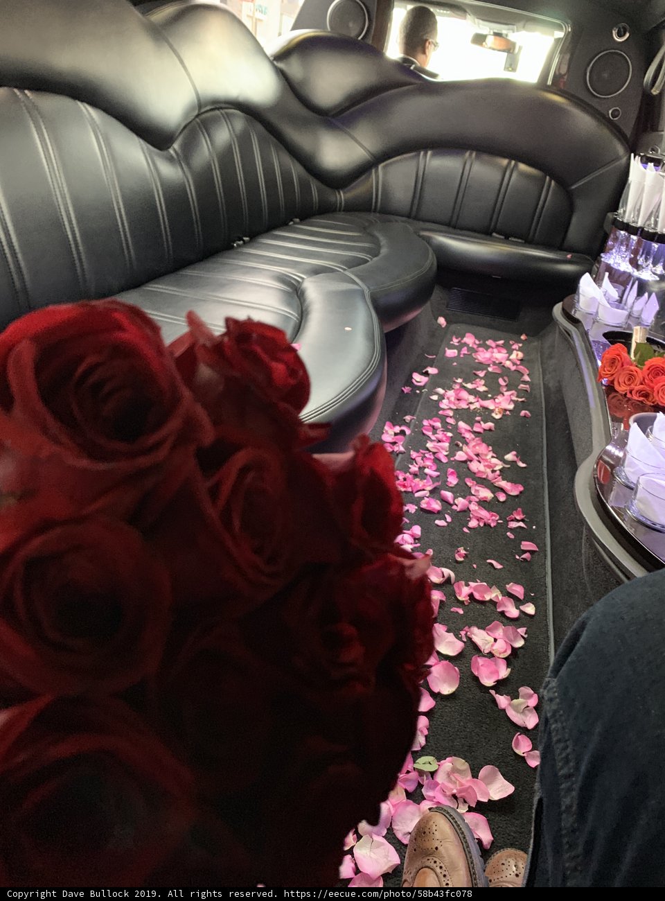 Red Roses on the Limo Couch