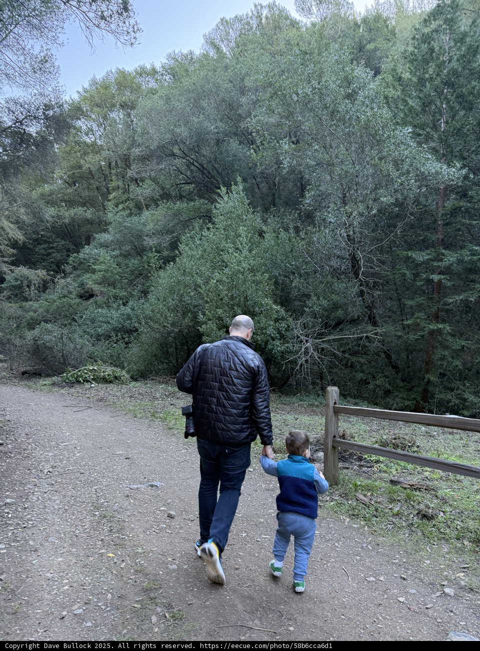 Wilderness Wander