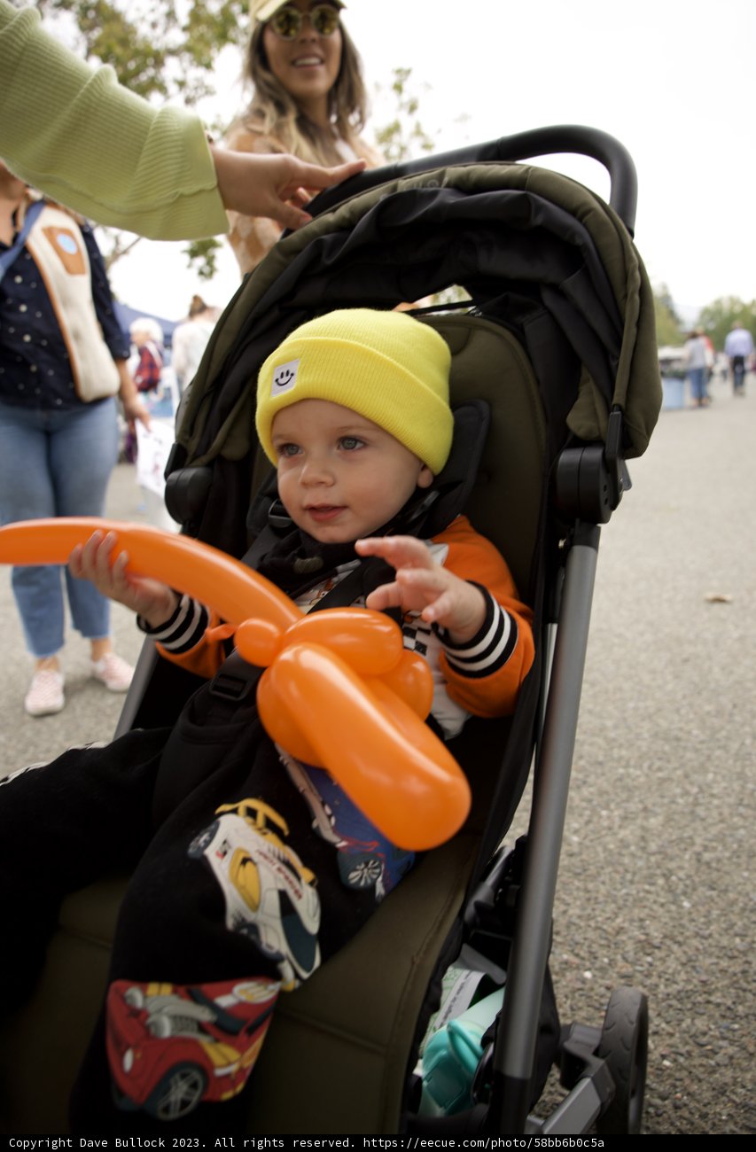 A Stroll with Baby Wesley, 2023