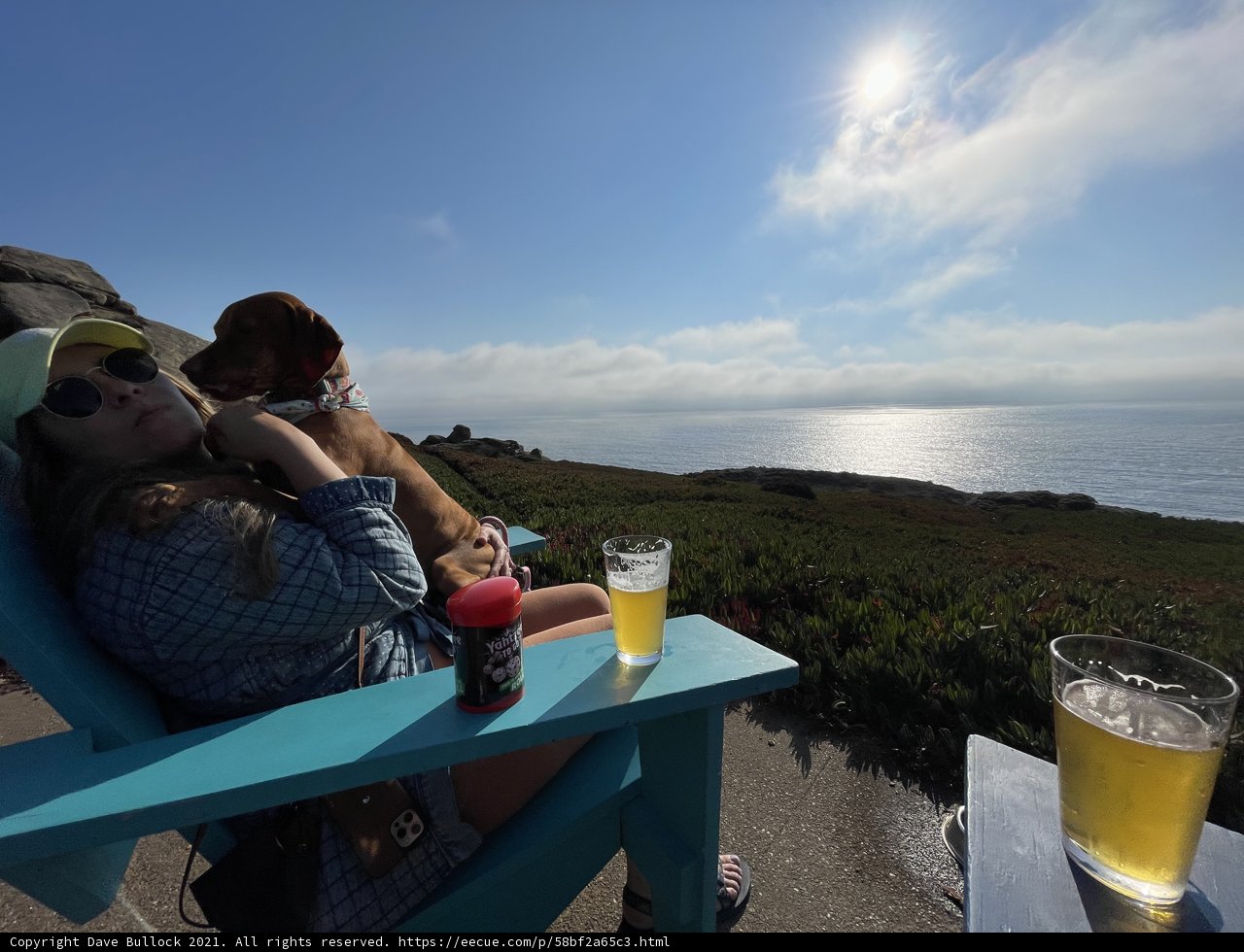 Beer, Beach, and Best Friend