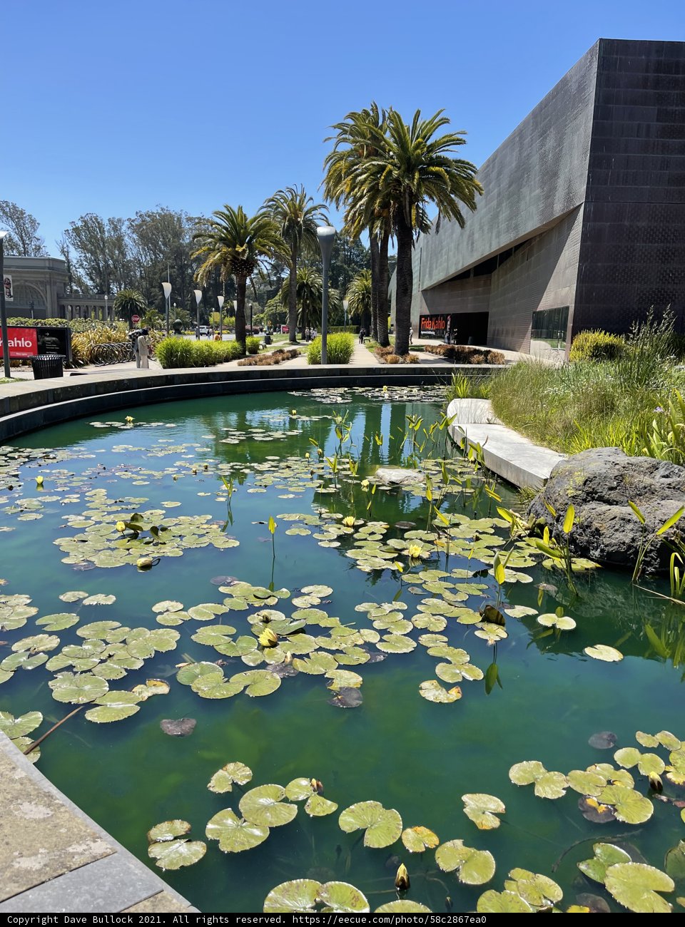 Serenity at the de Young Museum