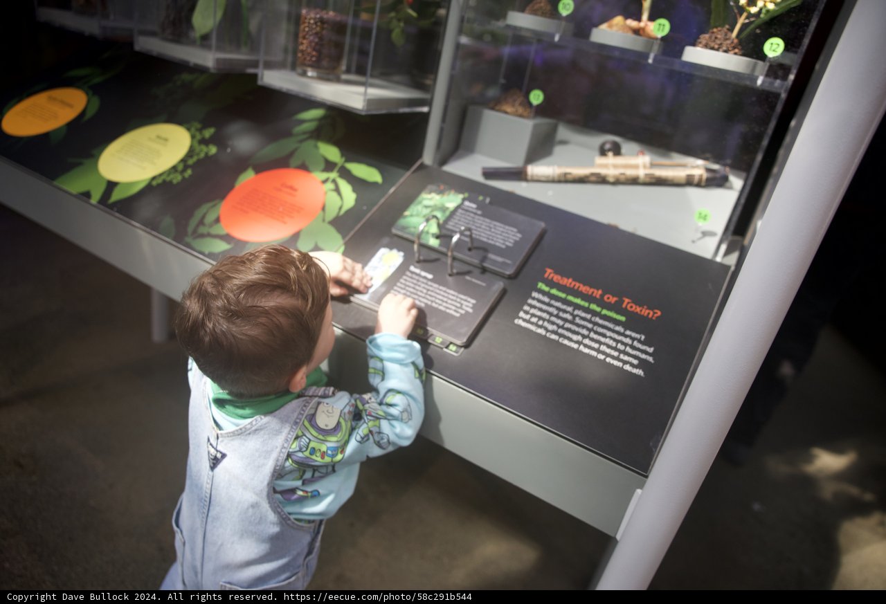 Exploring the Green Wonders
