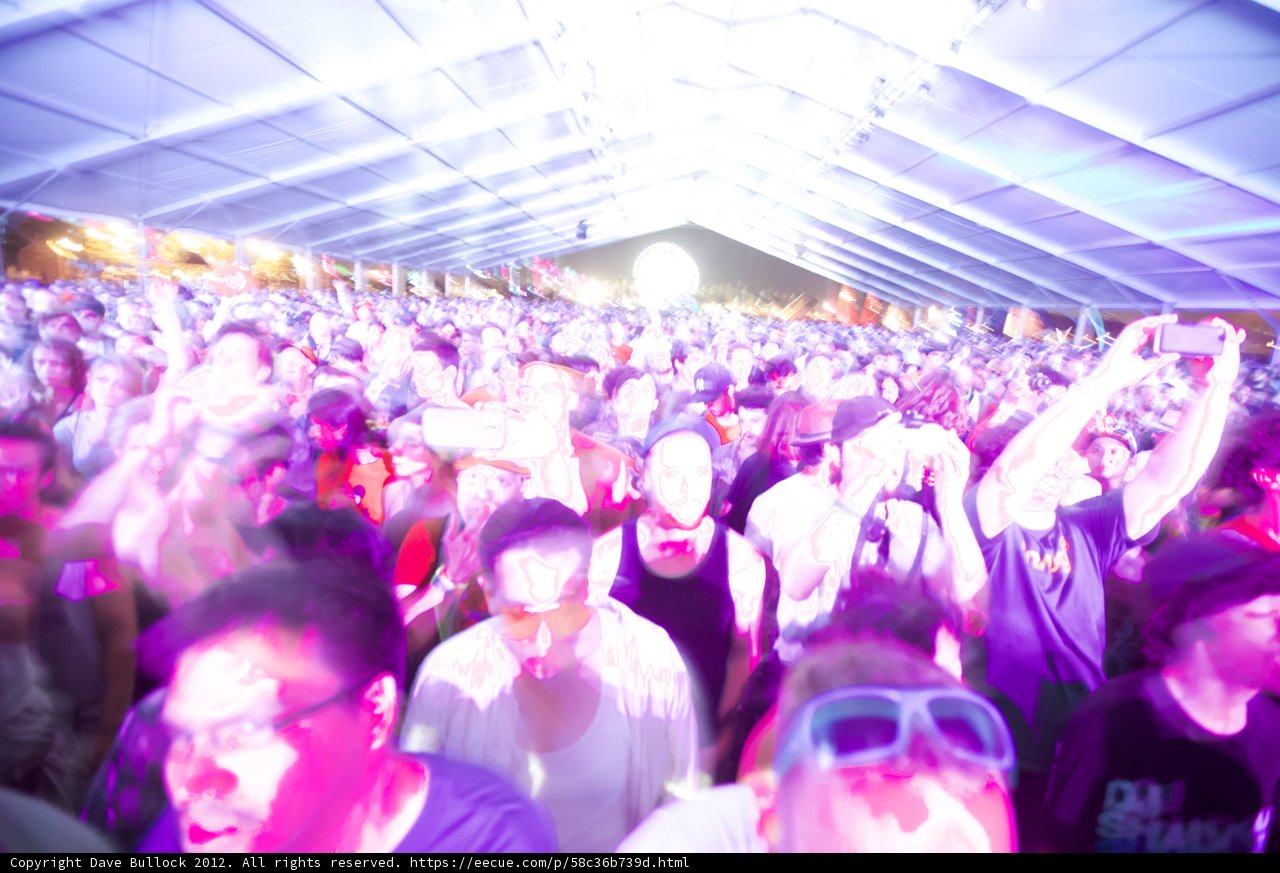Purple Haze at Coachella