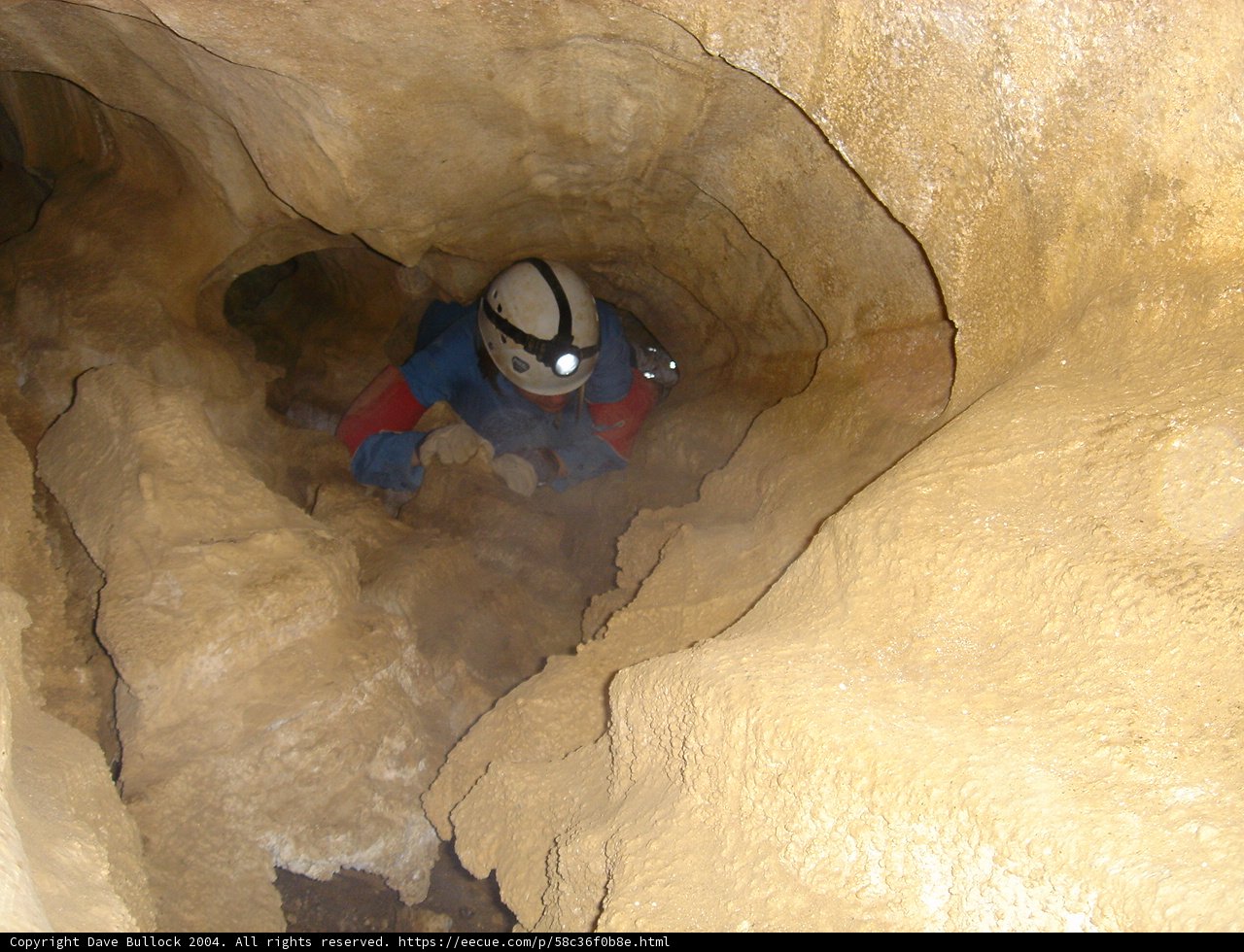 Exploring the Depths of Nature's Labyrinth