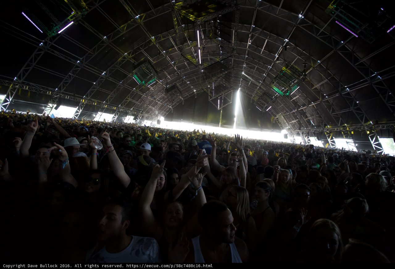 Hands Up at the Coachella Concert