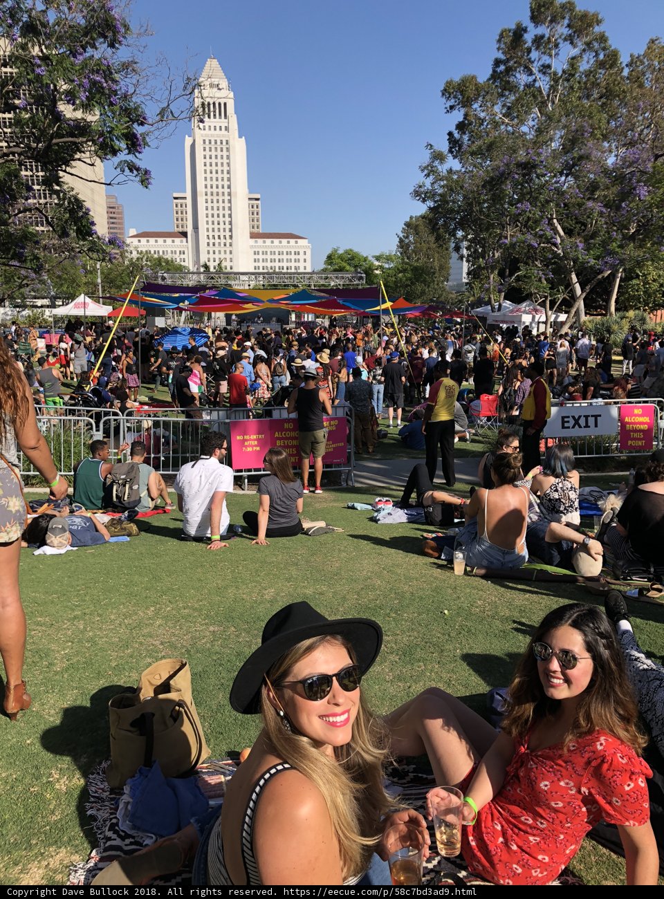 Fun in the Sun at the Festival