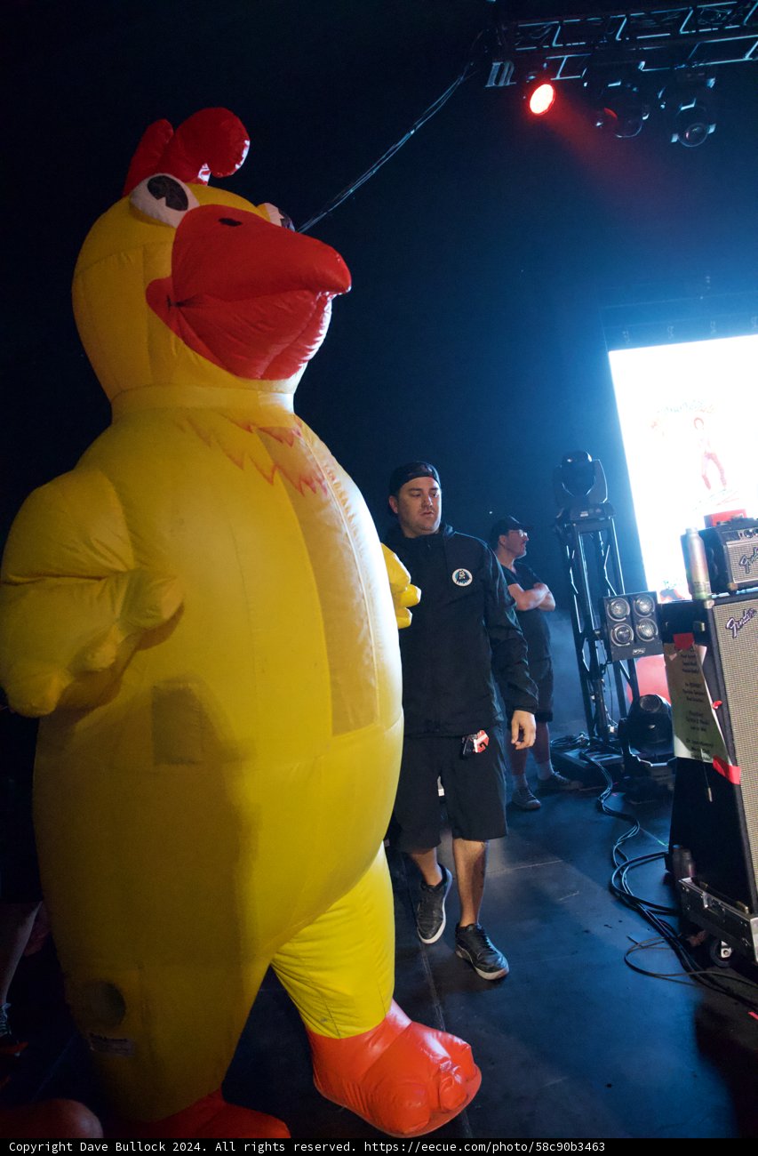 Giant Chicken and the Sound Crew: A Unique Coachella 2024 Snapshot