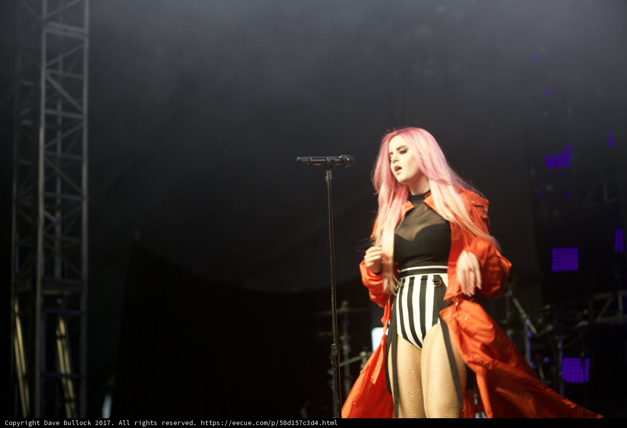 Pink-haired Performer Takes Coachella Stage