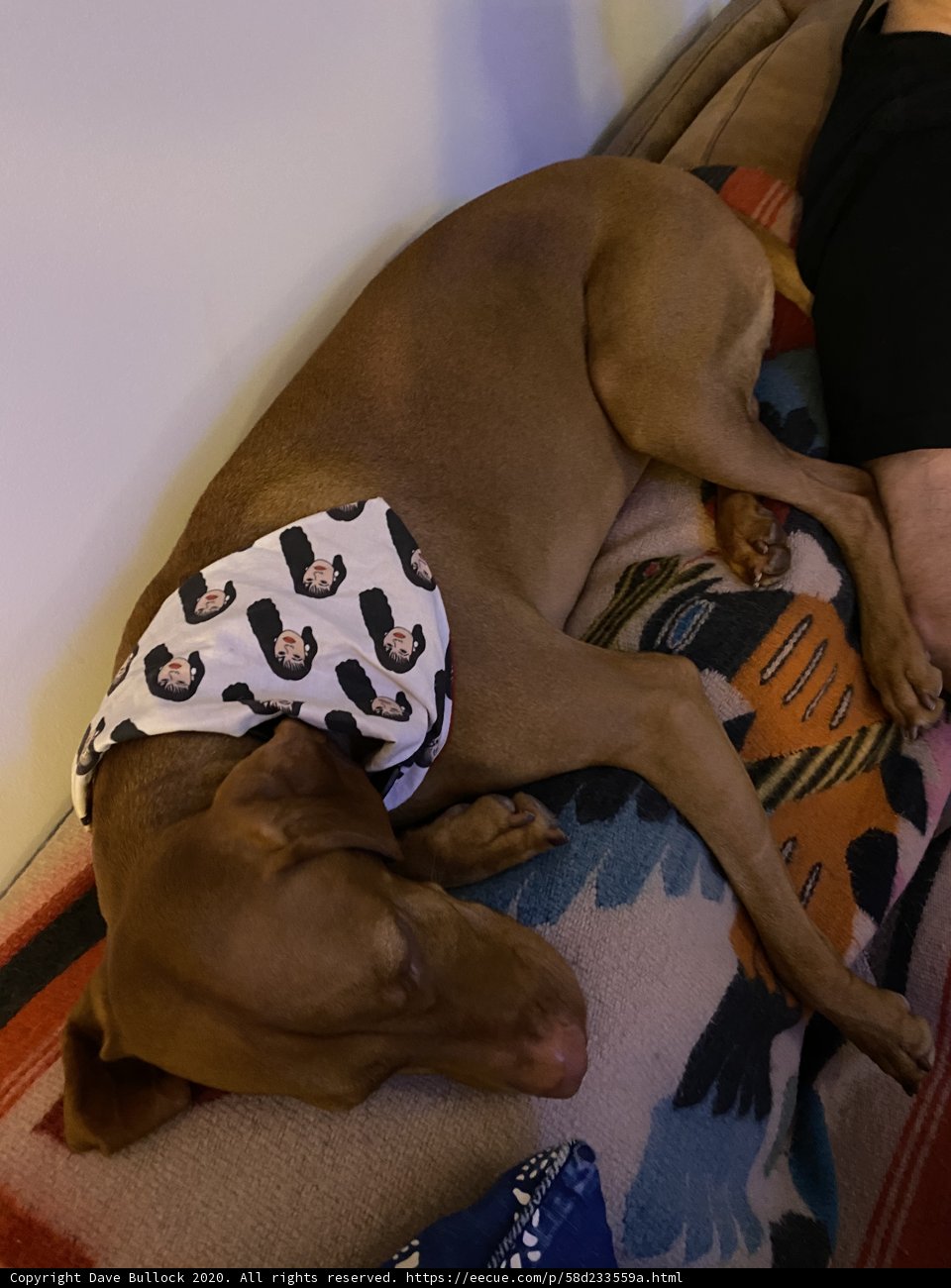 Cozying Up with My Best Friend