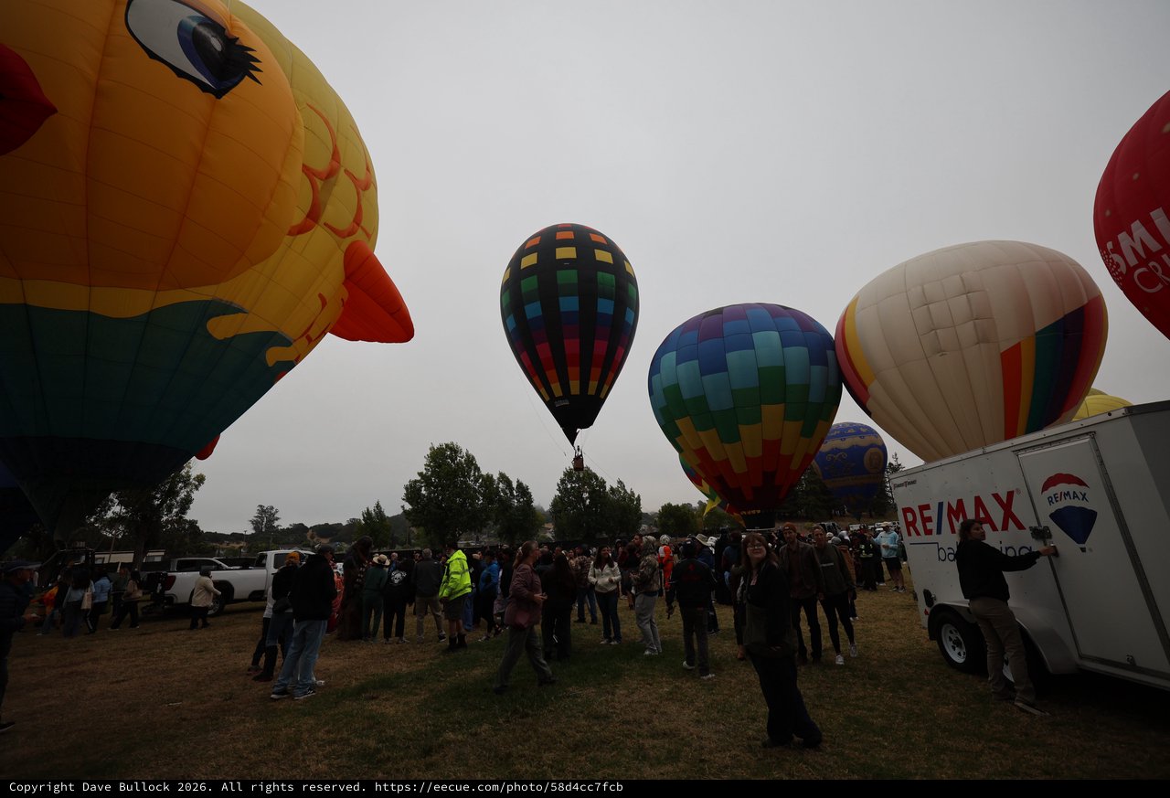 Colorful Hot Air Balloons Rise at Sonoma County Classic