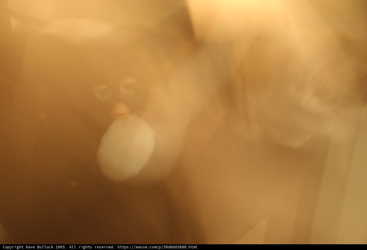 Shrouded in Fog