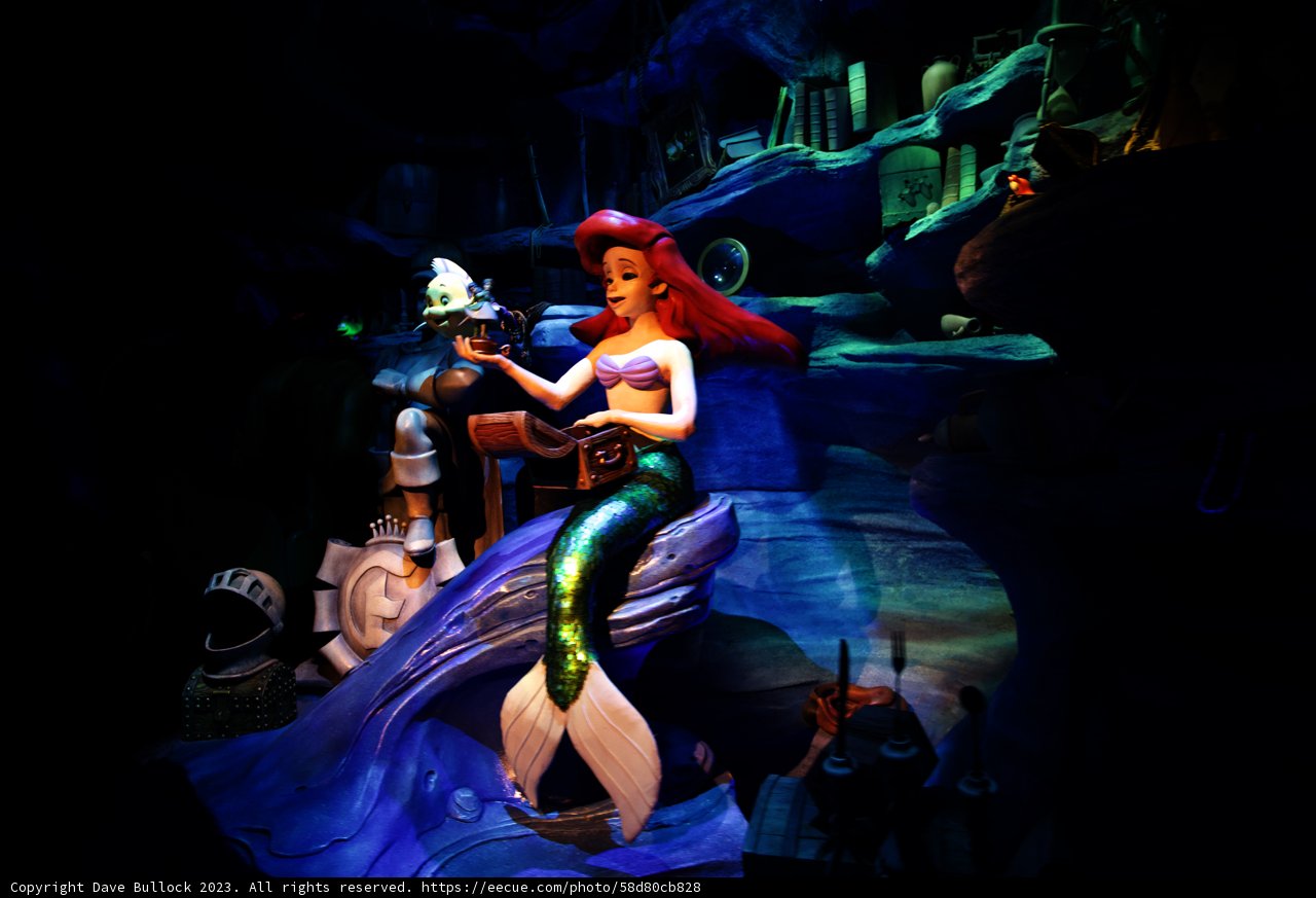 Magical Moments at Disneyland 2023