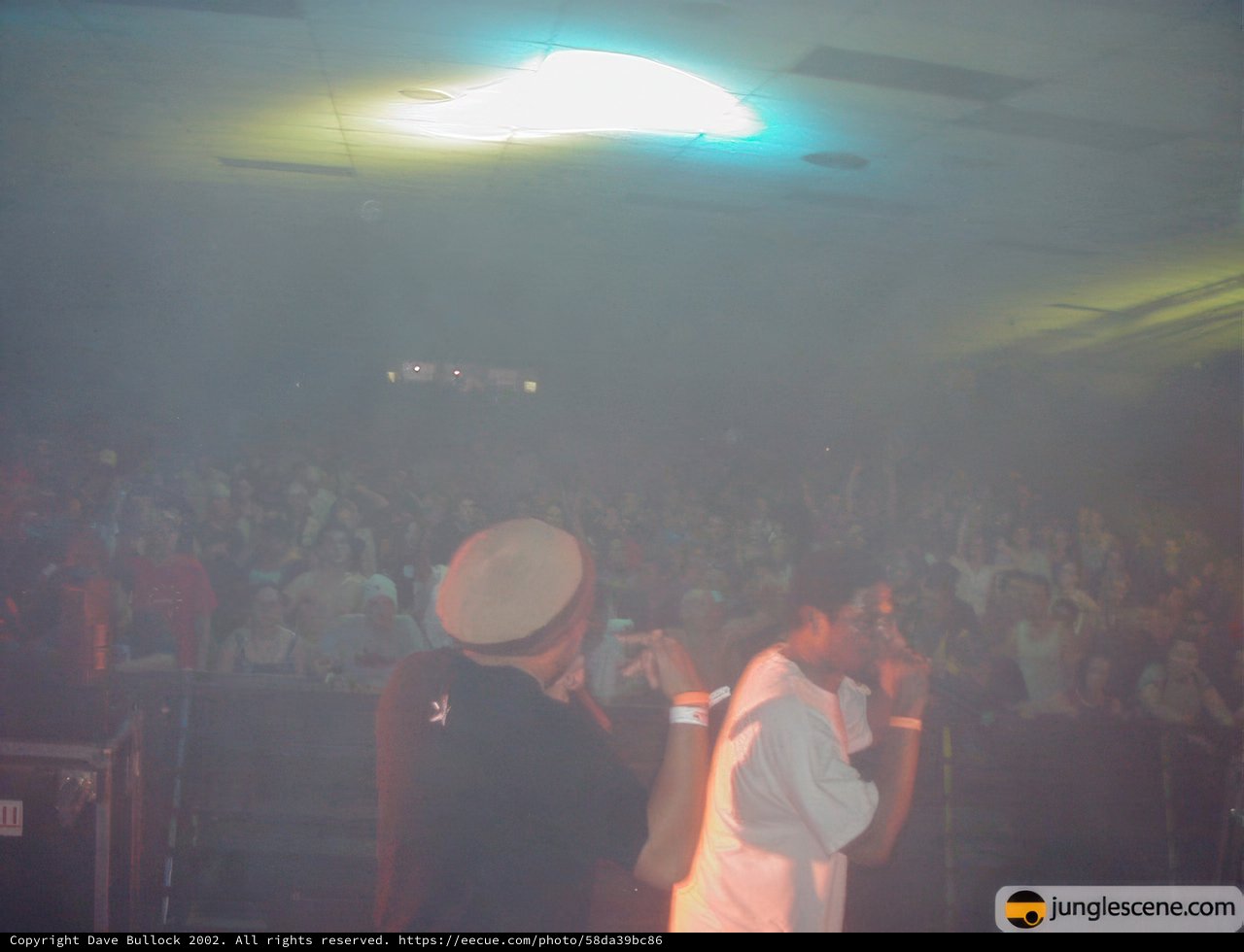 Concert Performance at Nightclub