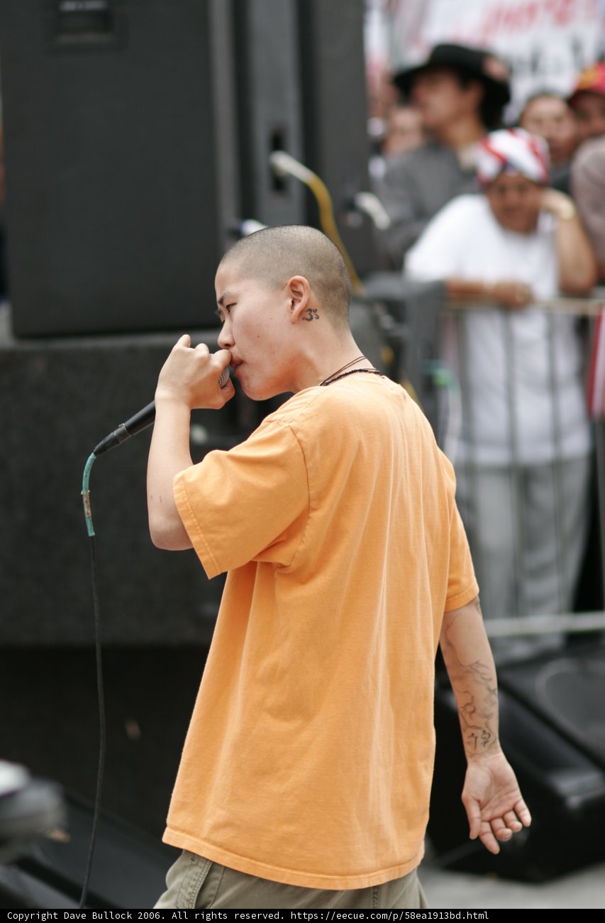 Protest Entertainer