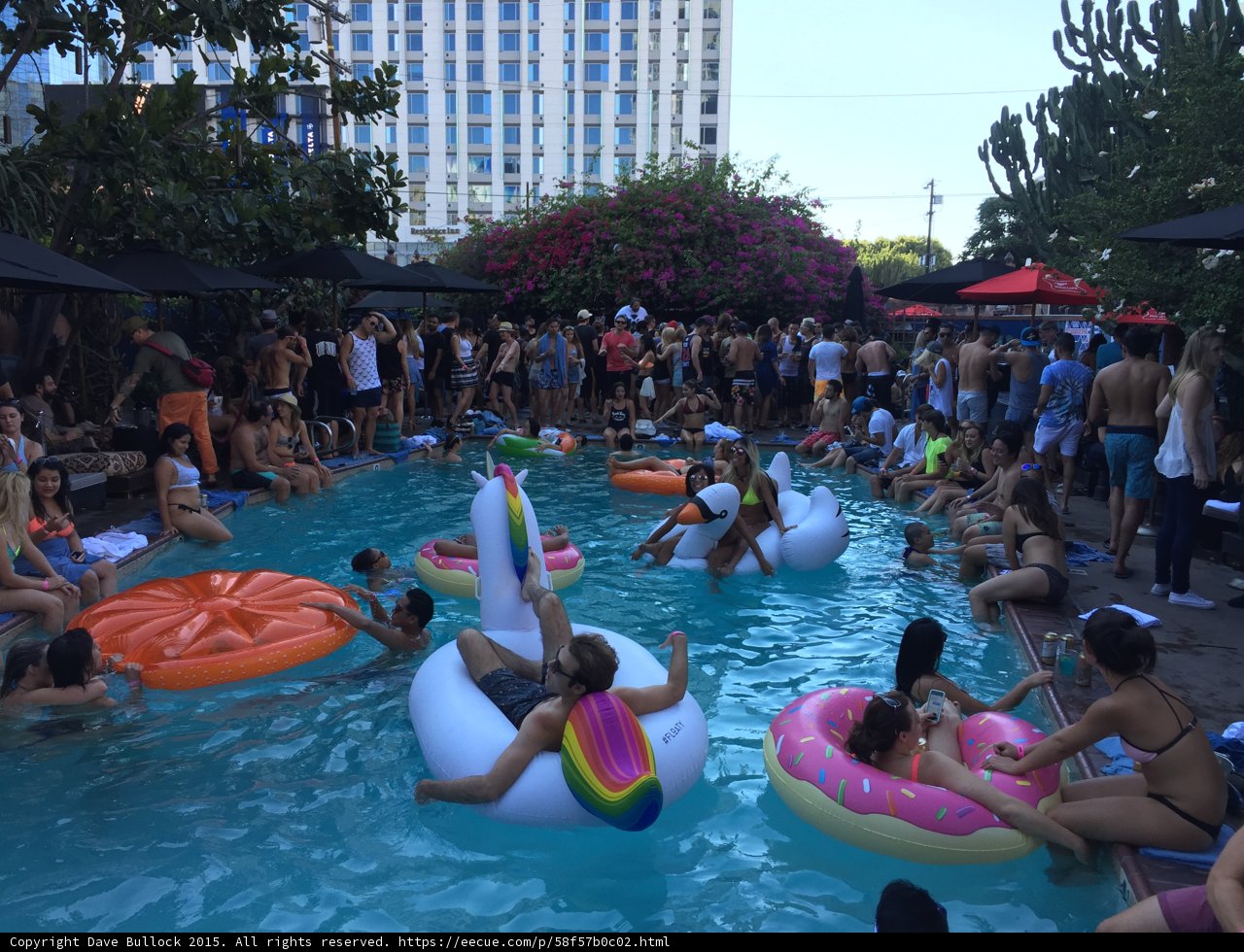 Pool Party Fun