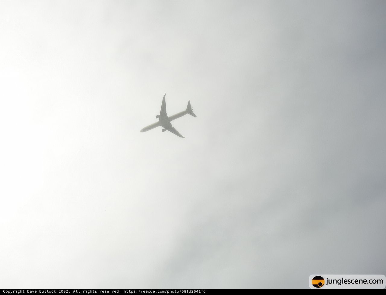 Majestic Flight