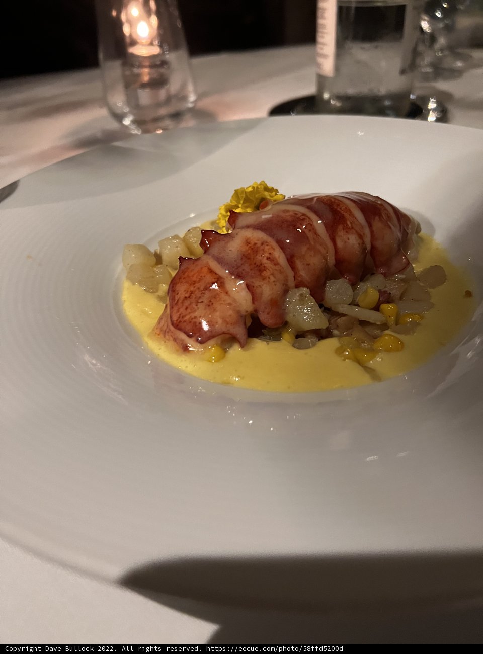 Lobster Delight