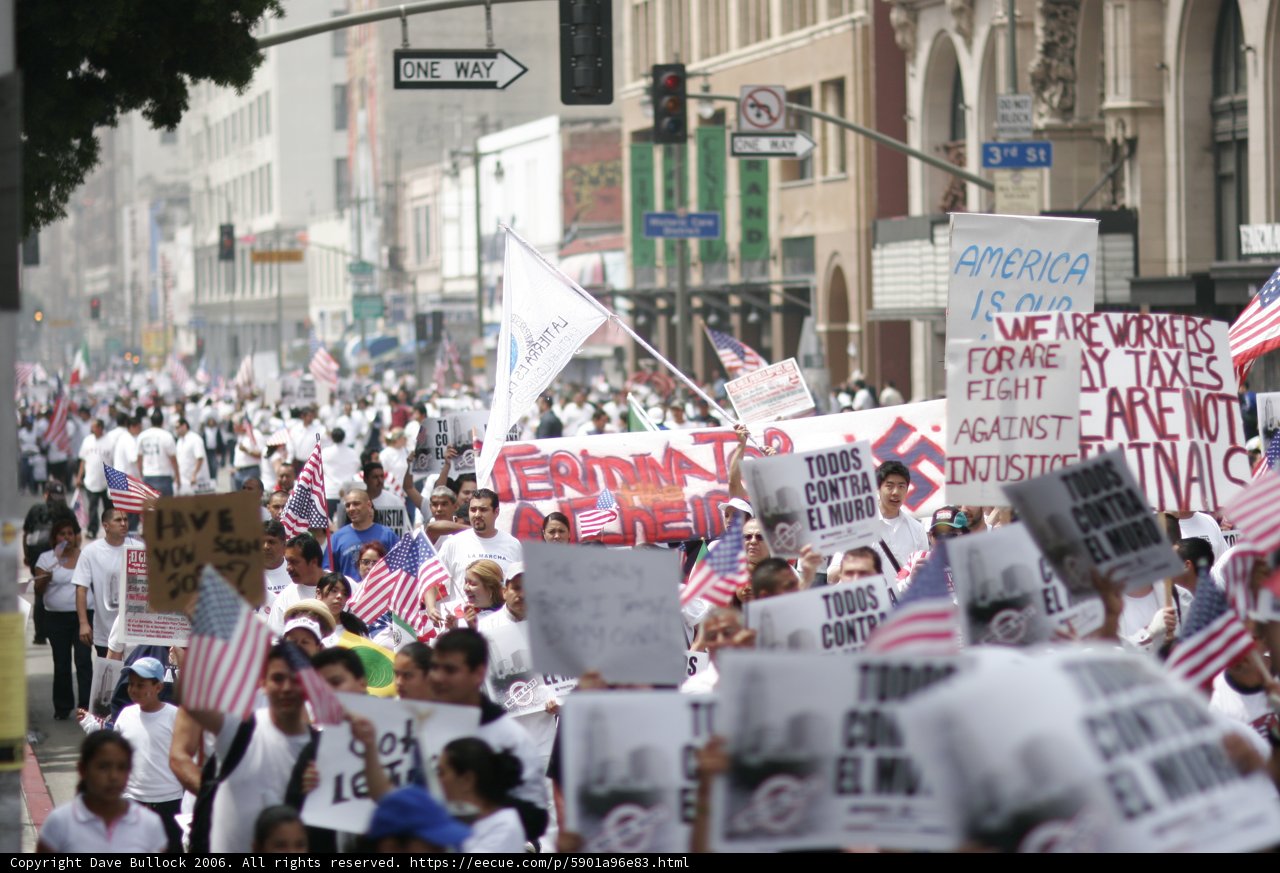 Protesters Rally through the Metropolis