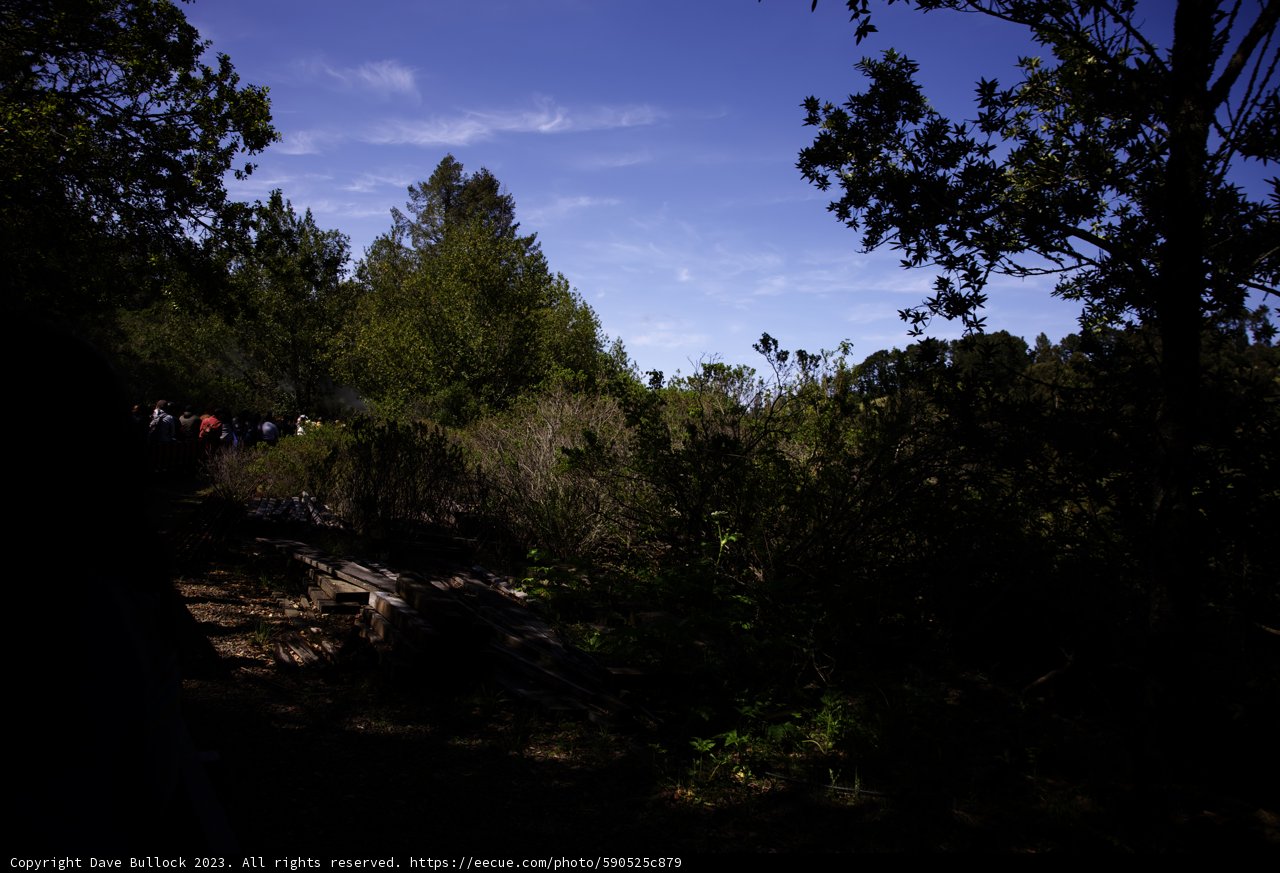 Serenity at Tilden Park