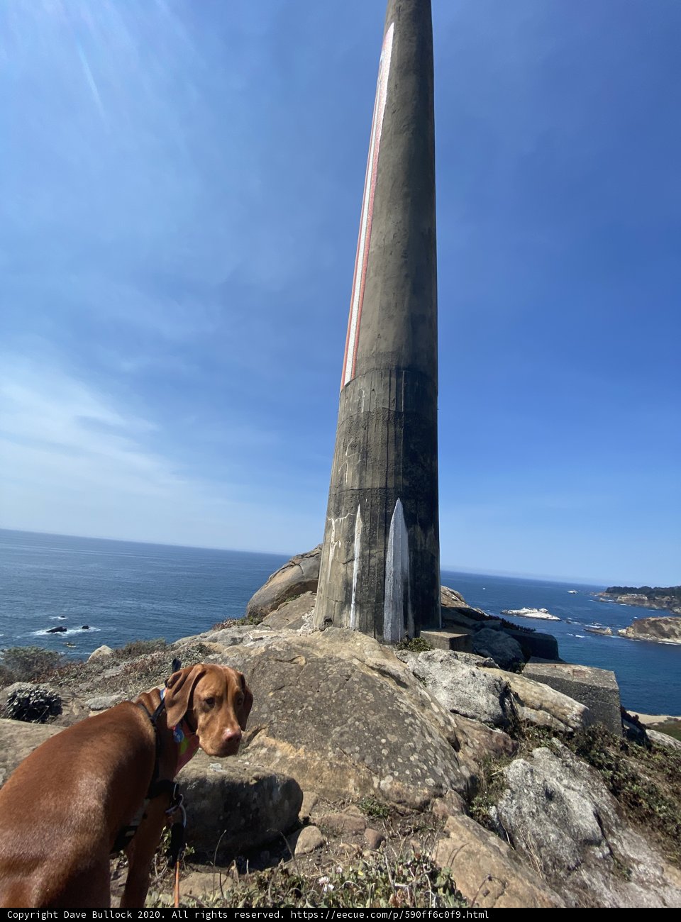 A Canine's View of Jenner Lighthouse