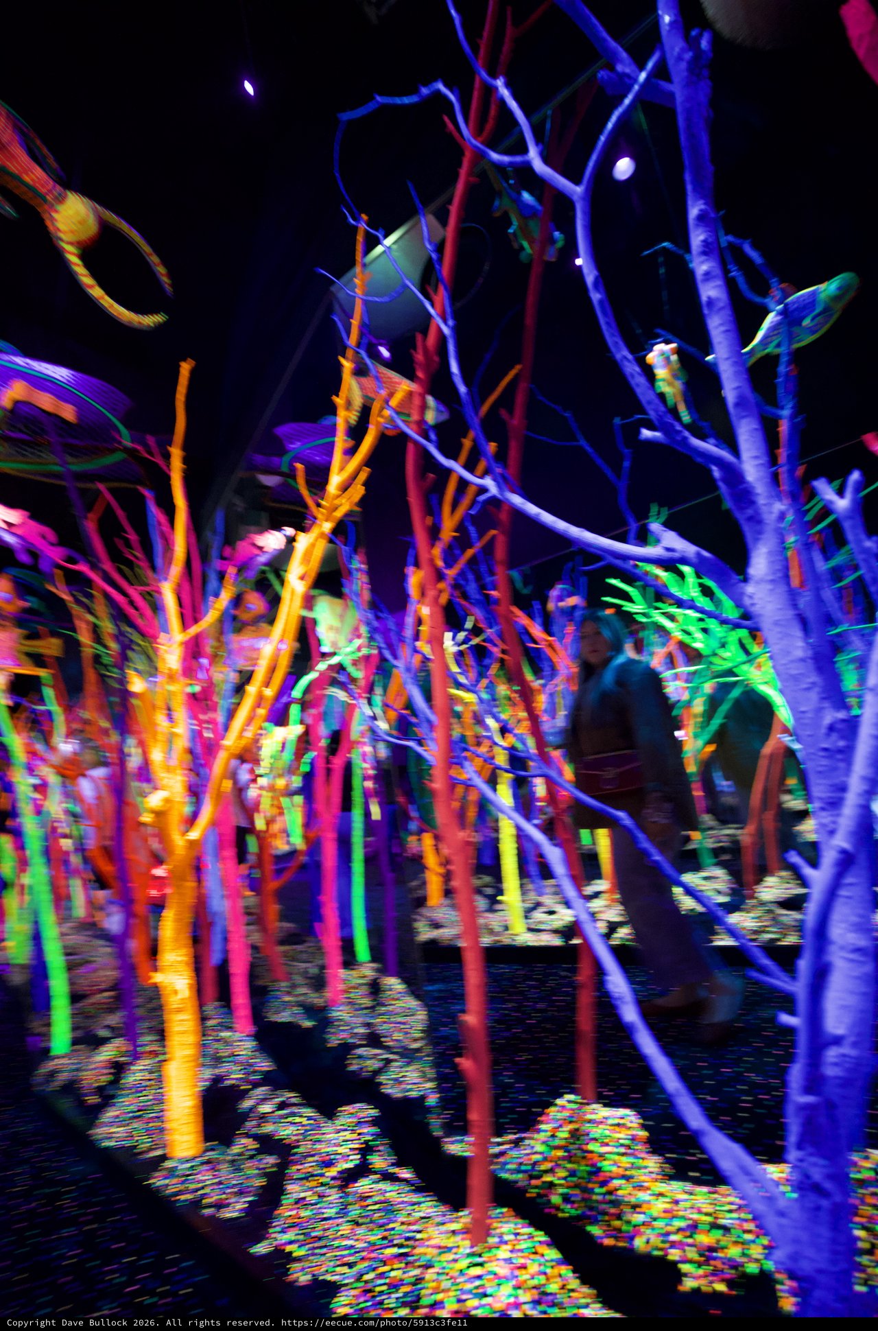 Neon Forest: Immersive Art Installation with Glowing Trees