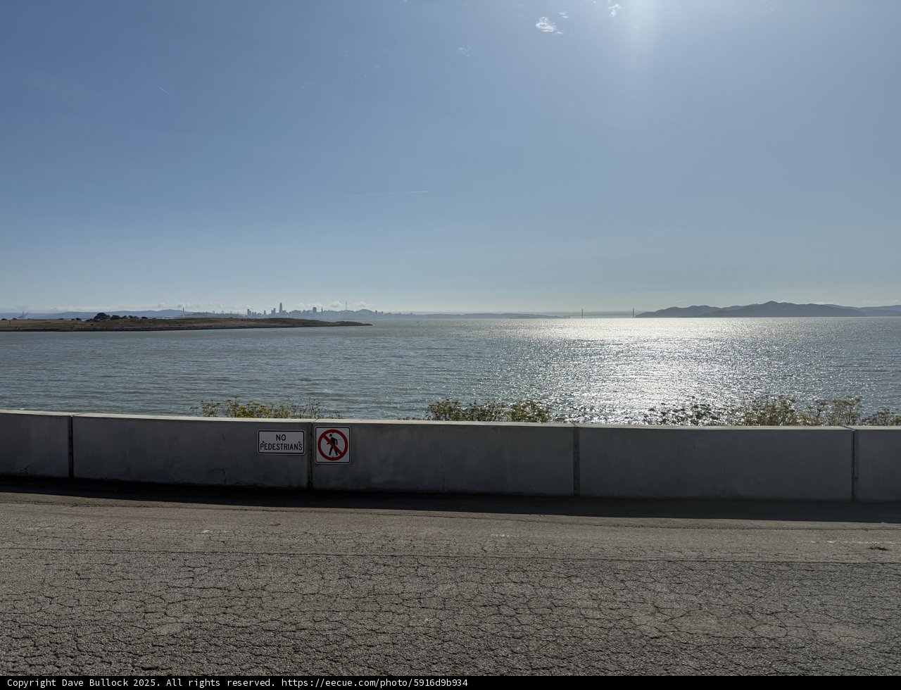 Berkeley's Waterfront Serenity