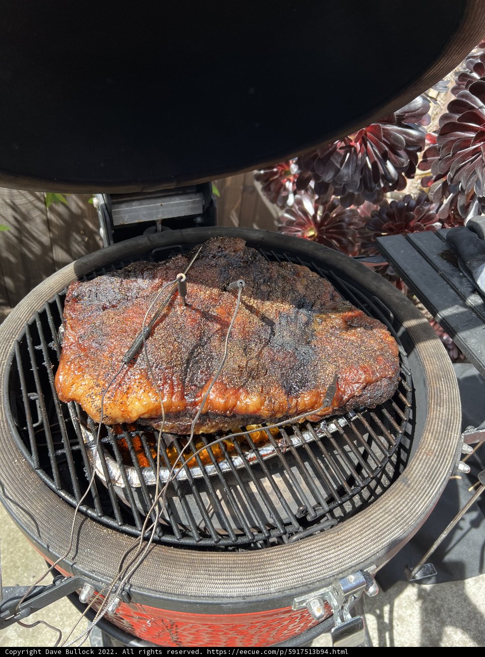 Grilling Masterpiece
