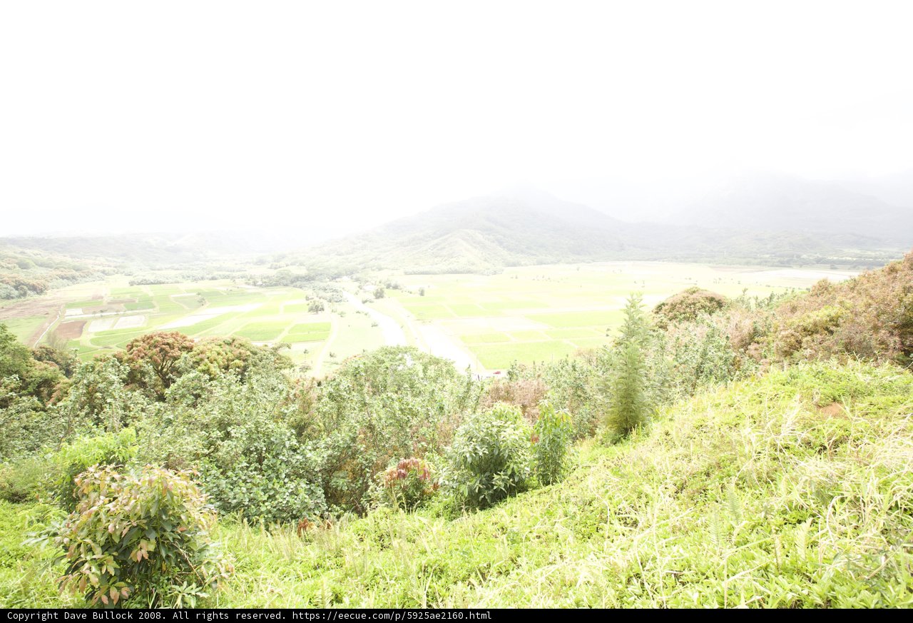Majestic View of the Green Slope