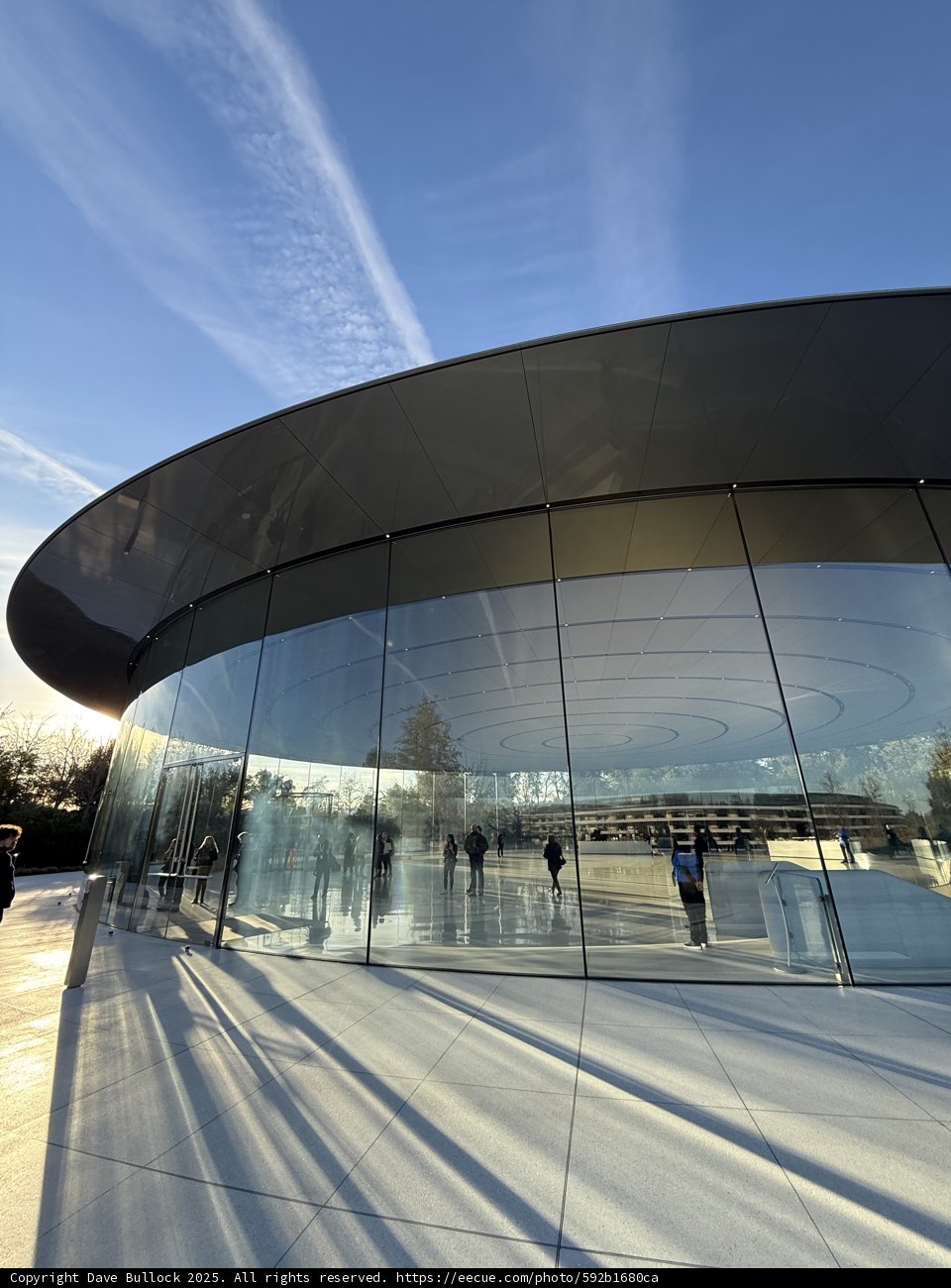 Morning Reflections at the Steve Jobs Theater