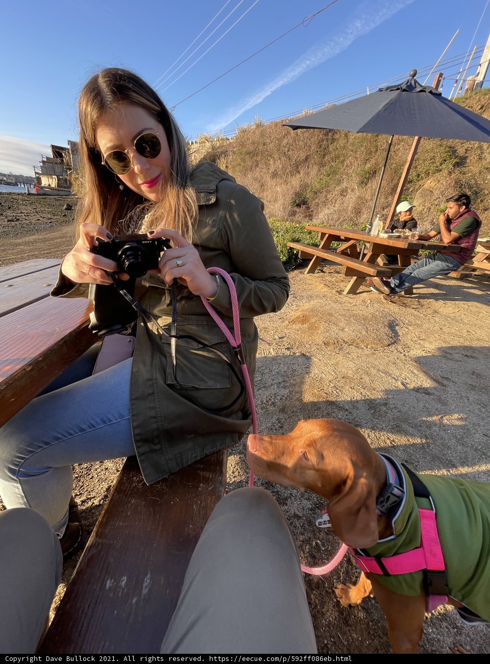 California Dreamin' with my Canine Companion