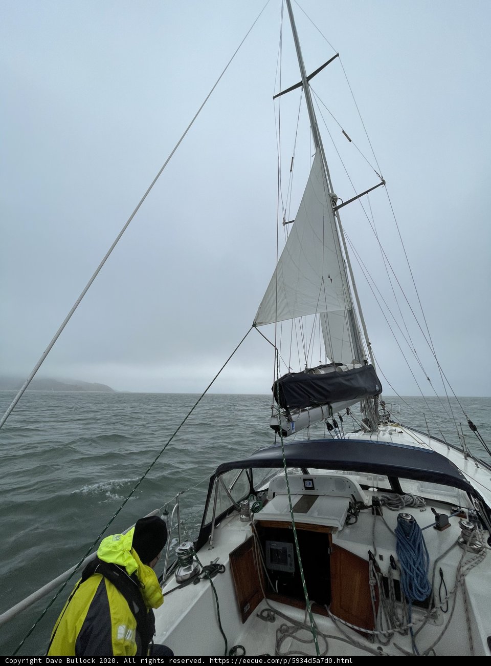 Sail Away on Richardson Bay