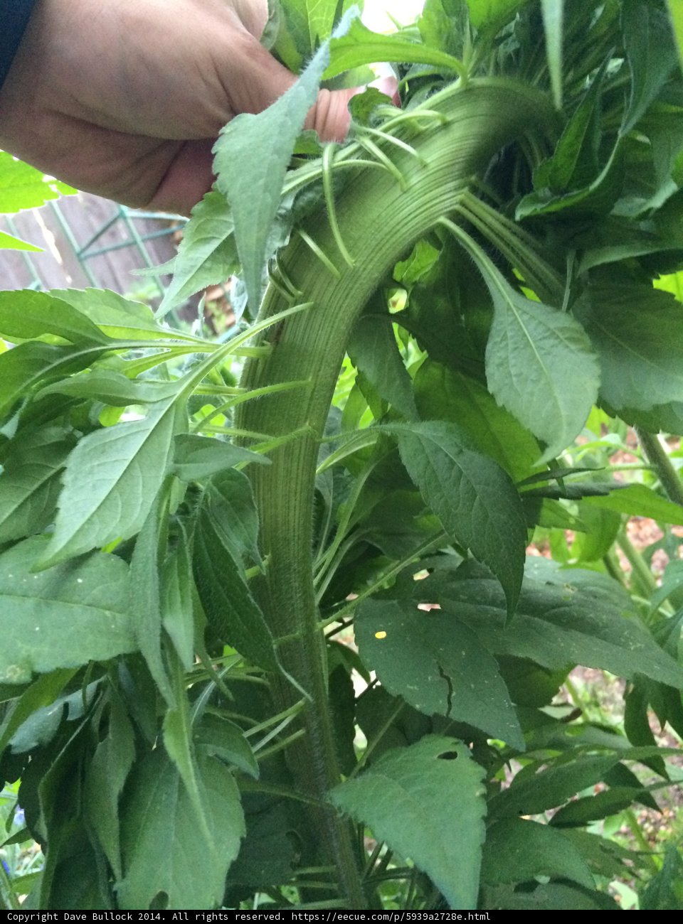 Holding Nature's Bounty