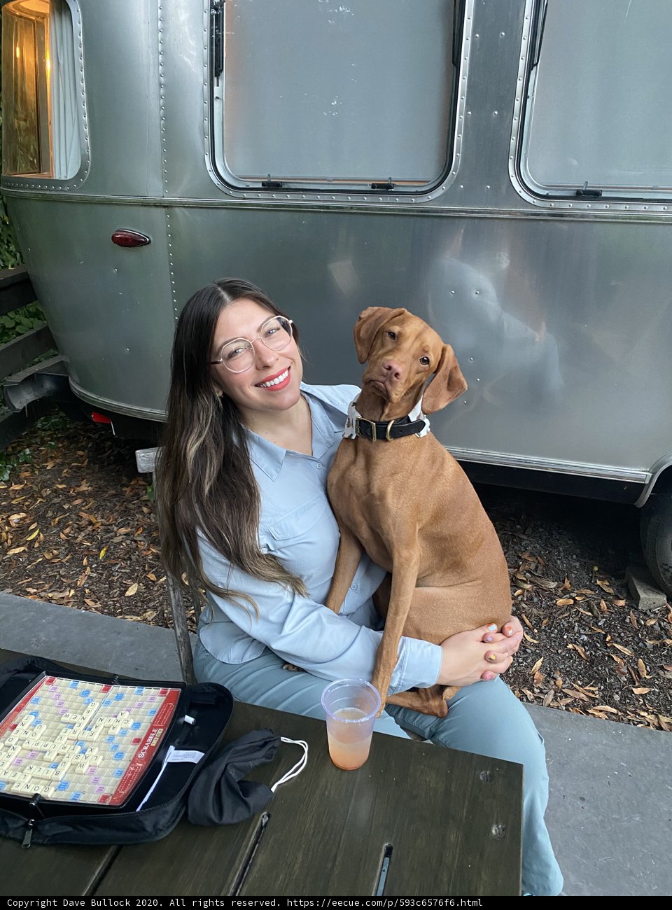 Airstream Adventures with My Furry Companion