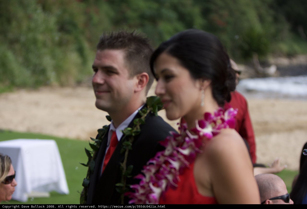 Formal Attire and Flower Arrangements