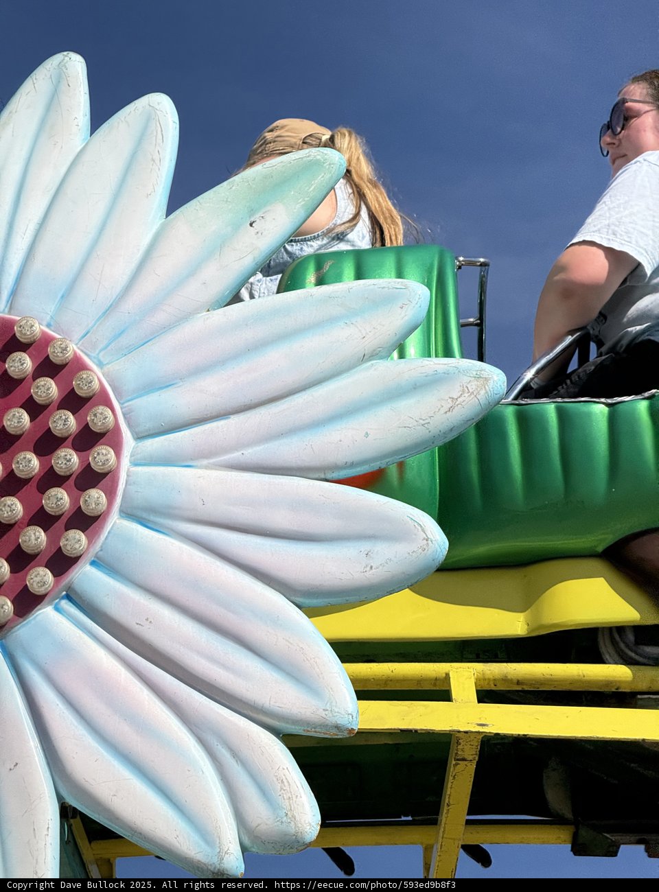 Summer Thrills in Full Bloom