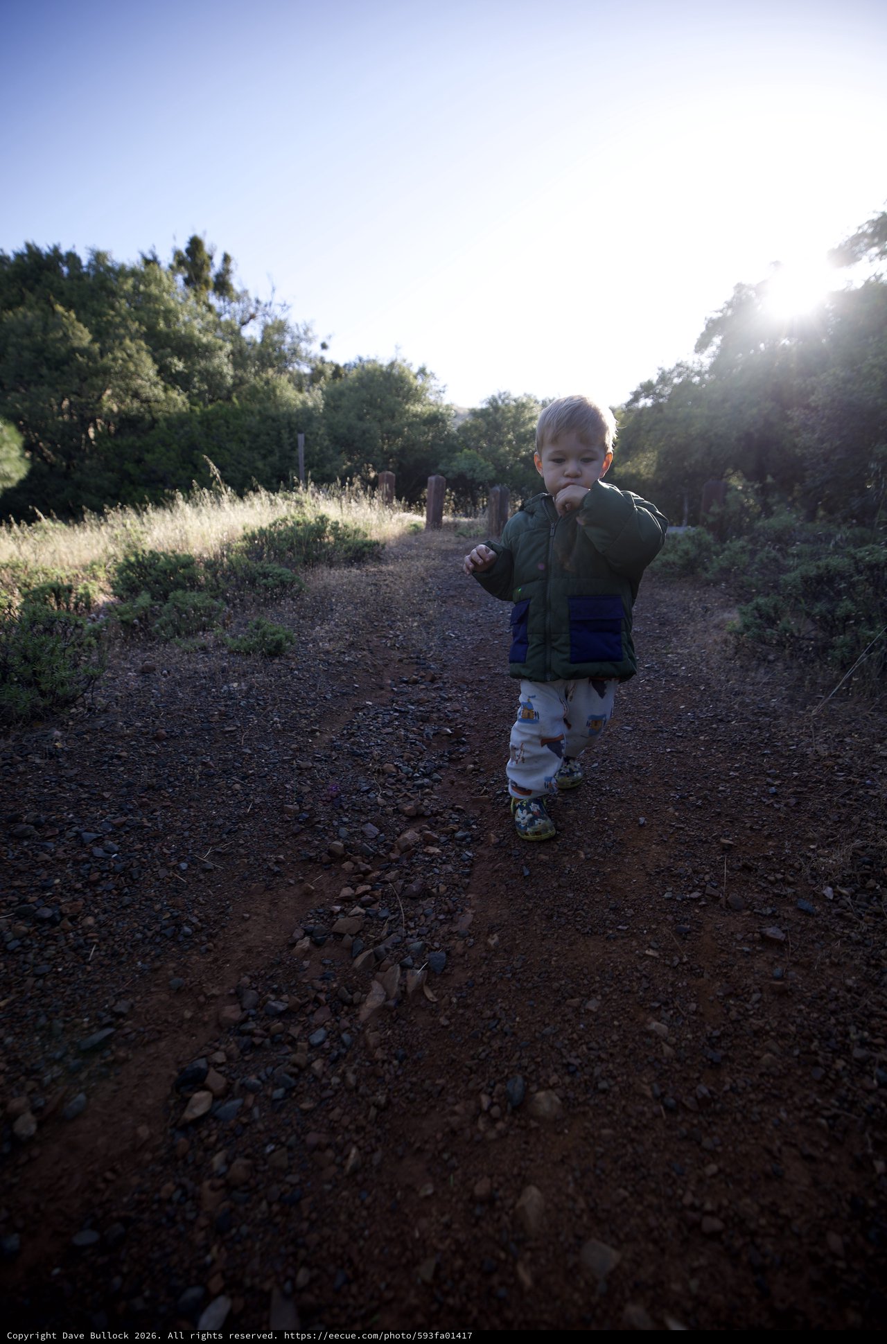 Young Explorer Walks the Trail at Mount Diablo