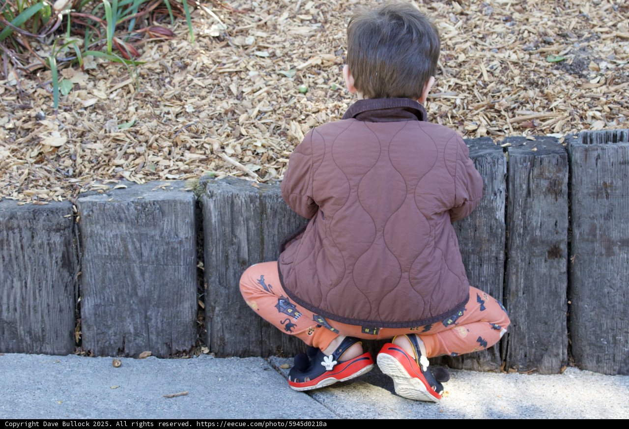 Quiet Curiosity